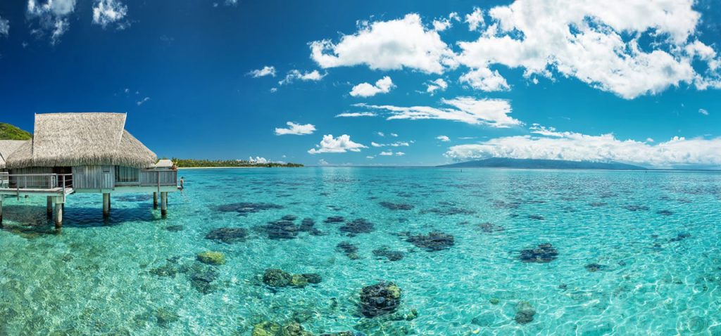 photo 2026 01 16 16.10.21