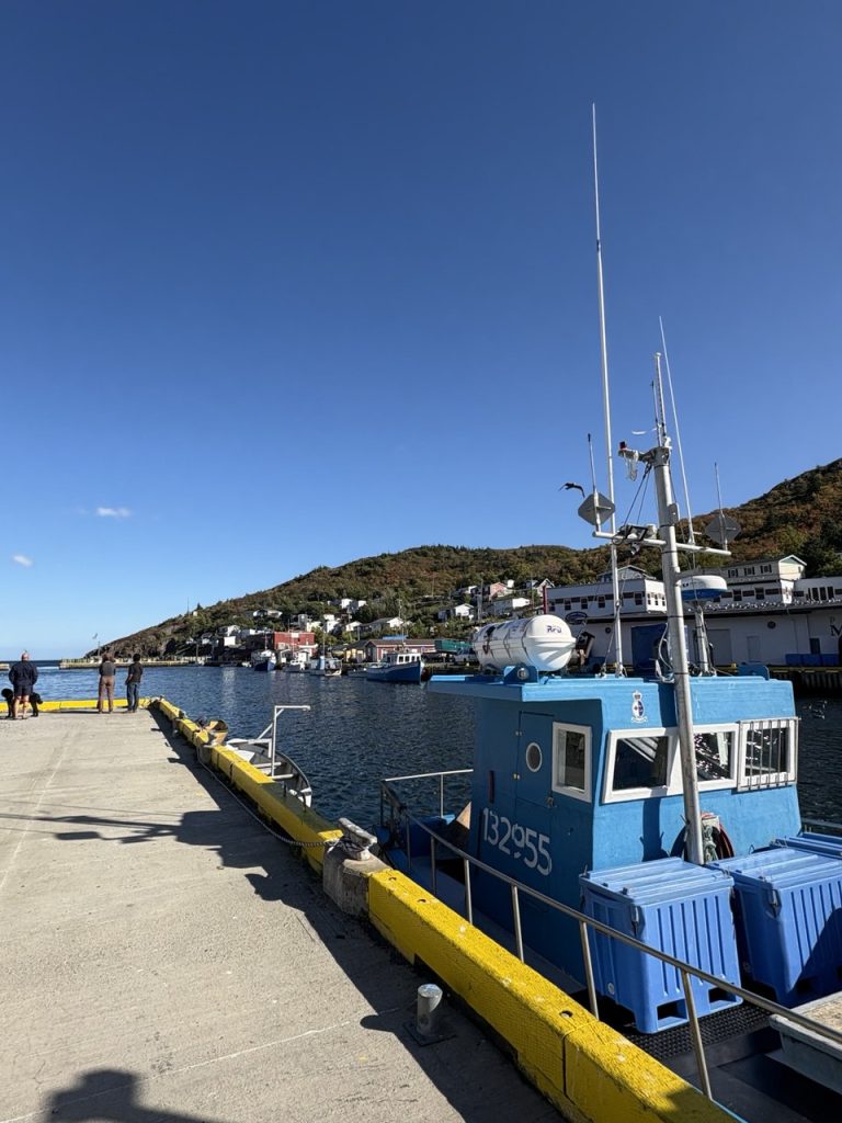 photo 2026 01 26 20.42.04